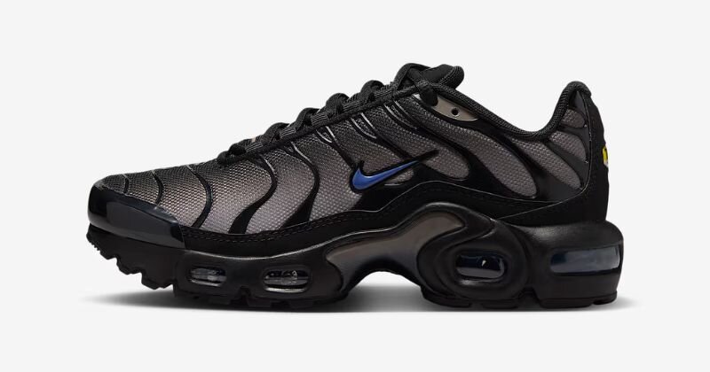 Nike air max tn trainers 